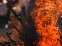 Son Dakika Haberleri: Silah bırakan PKK'lılara ne olacak? Son kulis bilgileri