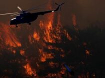 Son dakika! Urla'da orman yangını: Havadan ve karadan müdahale ediliyor