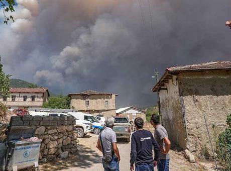 SON DAKİKA YANGIN HABERİ: Sakarya'da başlayan yangın Bilecik'e ulaştı!