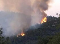 SON DAKİKA YANGIN HABERLERİ: Balıkesir'de orman yangını! Yangınlarda son durum...