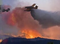 SON DAKİKA YANGIN HABERLERİ: Orman yangınlarında son durum nedir? Sakarya, Bilecik, Karabük, Eskişehir ve İzmir'deki yangınlarda son durum