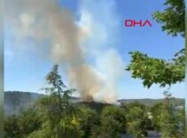 Sultangazi Kent Ormanı'ndaki yangın kontrol altına alındı