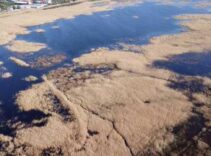 Ünlü göl tamamen kurudu! ‘Son 65 yılının en kurak mevsimi’