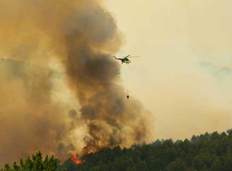 Uşak'ta orman yangını! Müdahale başladı