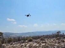 Yanan ormanlar için yeşillendirme çalışmaları başladı