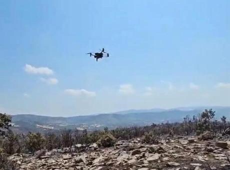 Yanan ormanlar için yeşillendirme çalışmaları başladı