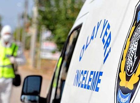 Yavru kediler öldürülmüş olarak bulundu: Korkunç olayda flaş gelişme