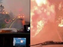 Yer: Sakarya! Alev çemberinin içinden geçtiler