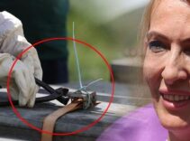 12 mühür tek tek açıldı: Burada kuş sütü bile var