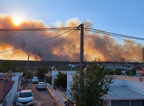 Edirne'de orman yangını! Bölgede tahliye çalışmaları başladı