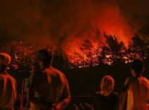 OGM: Bu yıl 5 binden fazla yangınla mücadele edildi