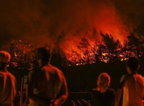 OGM: Bu yıl 5 binden fazla yangınla mücadele edildi