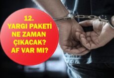 12. YARGI PAKETİ SON DAKİKA AF: 12. Yargı Paketi Ne Zaman Çıkacak? Af Var mı, İnfaz Düzenlemesi Geliyor mu? Ne Zaman Meclis'e Gelecek?