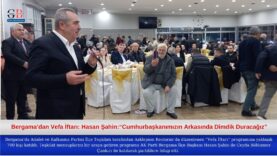 Green and Cream Modern Makeup Facebook Cover