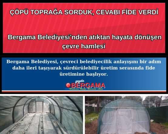 Kahverengi Beyaz Yuvarlak Dikdörtgen Kitap Önerisi Fotoğraf Kolaj