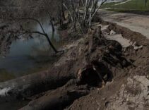 Edirne’de Tunca Nehri kıyısında korkutan toprak kayması! 50 metrelik çatlaklar oluştu