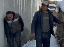 İnsan boyunu aştı! Köylüler şaşkın: Allah yardımcımız olsun