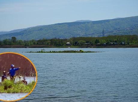 2016’da da görülmüştü! Sapanca Gölü'nde yeniden ortaya çıktı.