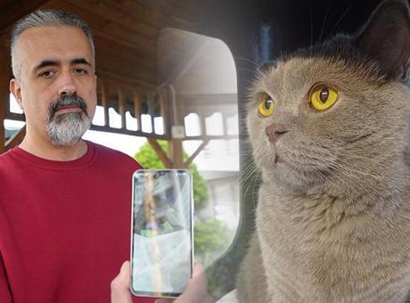 Aile CİMER’e başvurdu! Açıklama geldi: Bu aşı yüzünden çok fazla köpek ve kedi telef oldu