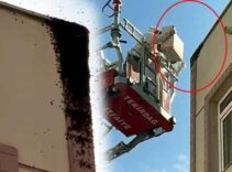 Binayı sardı esnaf fark etti! Şehrin göbeğinde büyük panik: Özel kutuya yerleştirildiler
