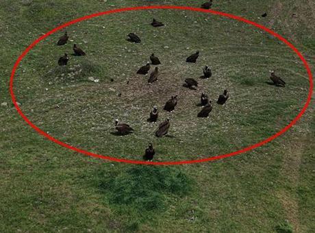 Doğanın devleri aynı anda ortaya çıktı! Türkiye'de nadir görülen an