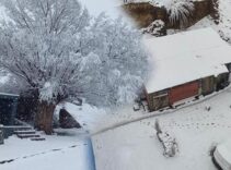 Görüntüler bu sabah çekildi! Nisan sonu kar sürprizi: Herhalde bu yıl yaz gelmeyecek