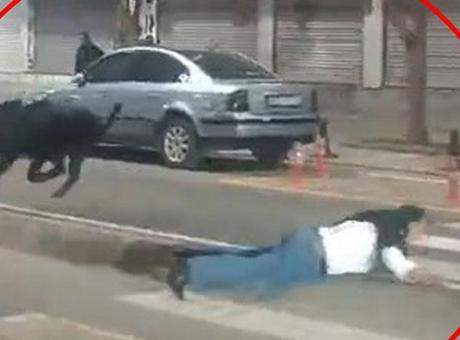 Kent merkezinde domuz saldırısı! 3 kişiyi hastanelik etti, valilikten açıklama geldi