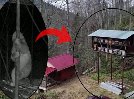 Yer: Rize! Defalarca denedi başarılı olamadı: ‘10 gündür ara ara ziyaret ediyor’