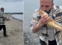Dünyanın 'en değerli hazinesi'ni buldu! Görüntülere yorum yağdı: Kral hareket