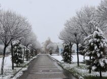 Fotoğraflar bugün çekildi! Mayıs ayında kar sürprizi..