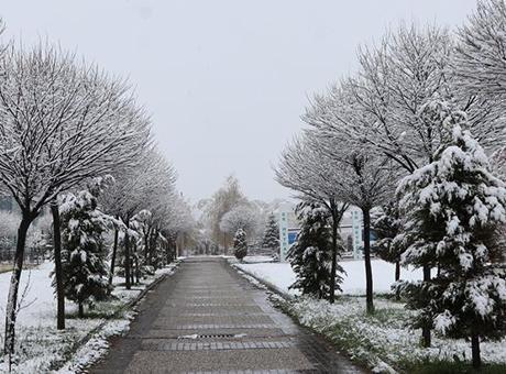 Fotoğraflar bugün çekildi! Mayıs ayında kar sürprizi..