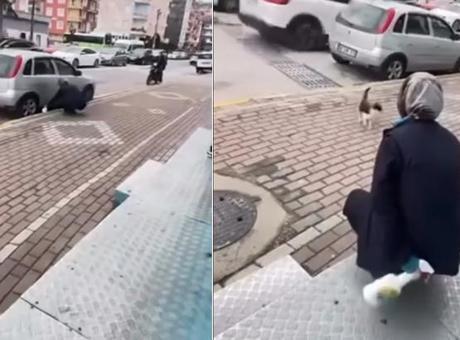 Gündem haberleri: Sokak kedisine işkence! 'Gel annem gel' diyerek çağırdıktan sonra yaptığı kan dondurdu