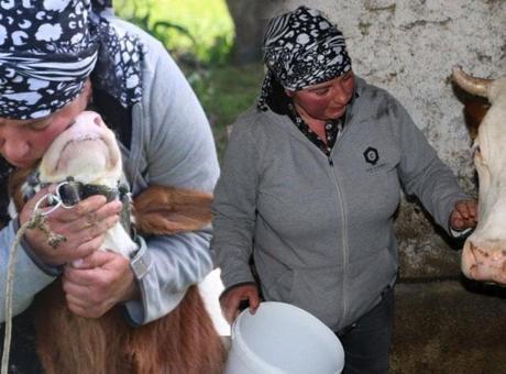 Gürcistan’dan Erzincan’a gelin geldi! Türkçeyi öğrendi, hayvancılığa başladı