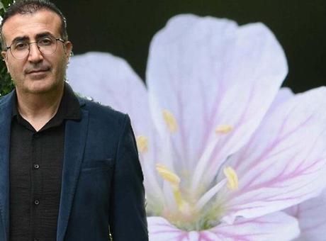 Türkiye'de sadece iki küçük noktada yetişiyor! Şaşırtan keşif: 'Kritik tehlike altında'