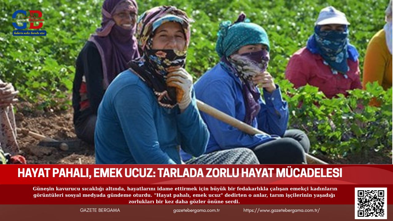 Hayat Pahalı, Emek Ucuz: Tarlada Zorlu Hayat Mücadelesi
